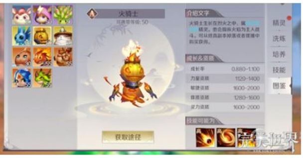 完美世界手游法师精灵技能带什么好？