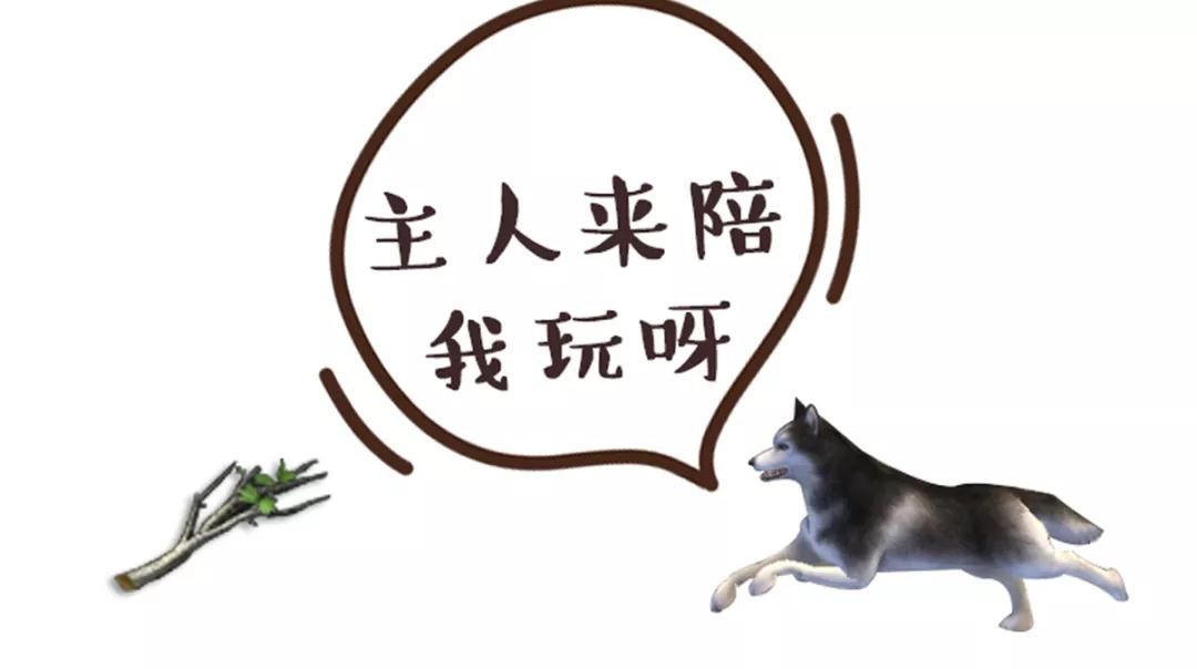 明日之后哈士奇技能详解_http://www.abetid.com_游戏攻略_第2张