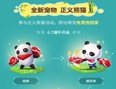 QQ飞车手游正义熊猫获取方法_http://www.satyw.com_游戏攻略_第2张