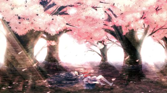 成语文曲星78关答案是什么