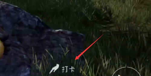 和平精英夏日模式小黄鸭特效教程