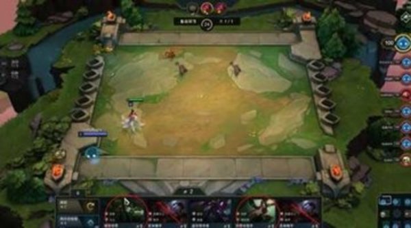 云顶之弈有不受法强加成的英雄吗