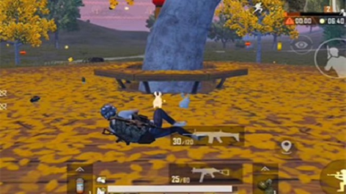 和平精英桂花树在哪