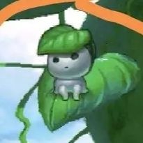 不思议迷宫木灵宝宝怎么获得