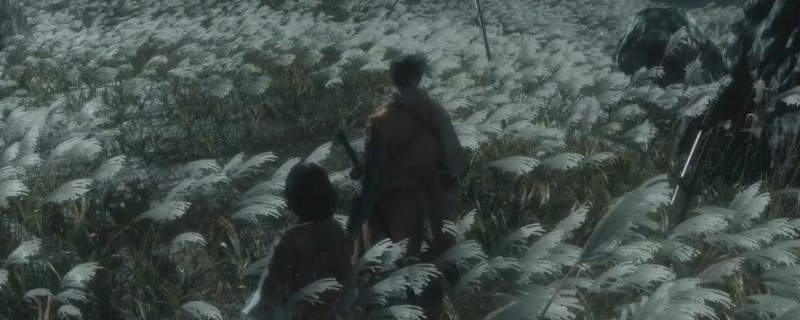 只狼水生村位置一览