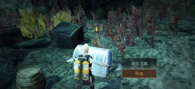 明日之后海岛特殊宝箱一天可以开几个