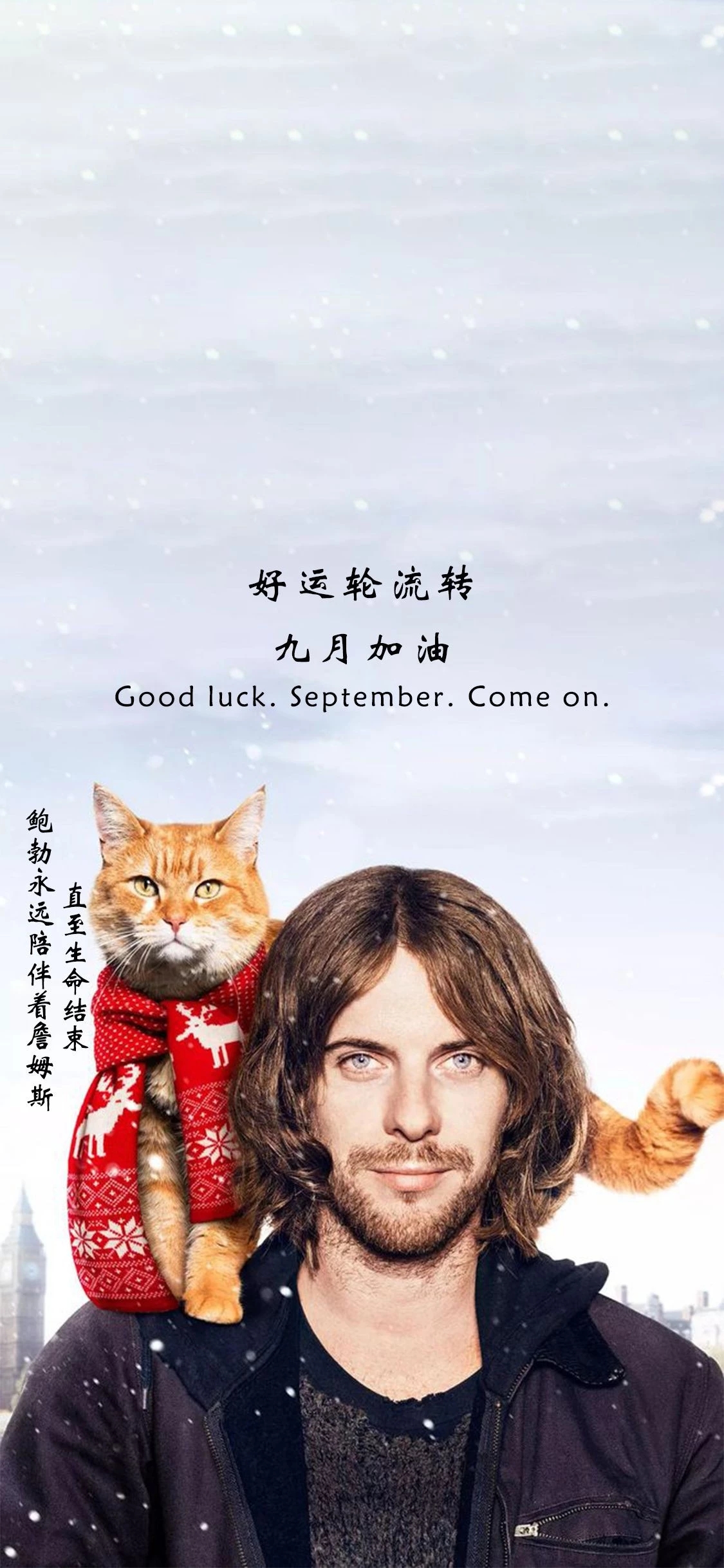 抖音流浪猫鲍勃詹姆斯壁纸分享_大喜大悲看清自己大起大落看清朋友壁纸下载 抖音流浪猫鲍勃詹姆斯壁纸分享_大喜大悲看清自己大起大落看清朋友壁纸下载