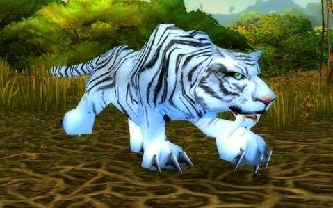 魔兽世界怀旧服稀有宠物有哪些 魔兽世界怀旧服稀有宠物有哪些