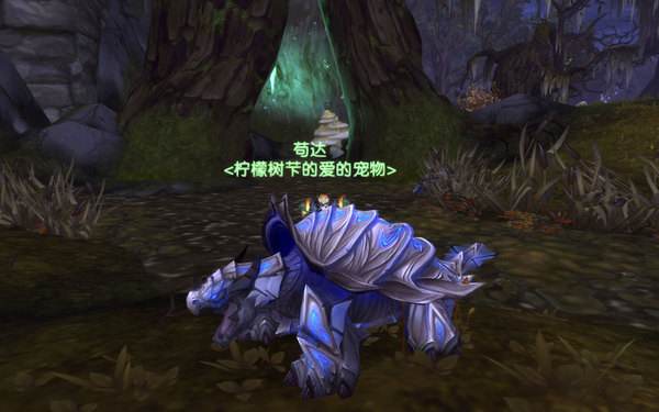 魔兽世界怀旧服法师的变形术龟怎么获得