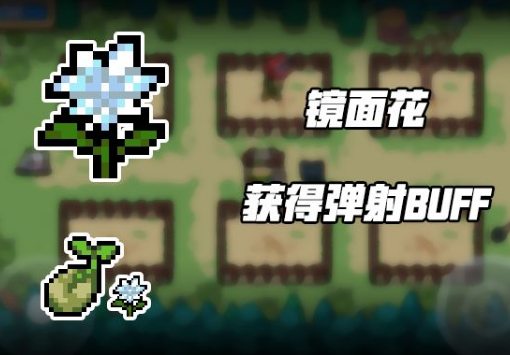 元气骑士镜面花怎么获得