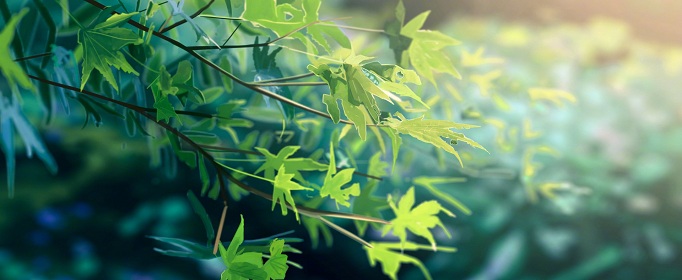 有哪些值得推荐的手游_2020国内最良心的手游