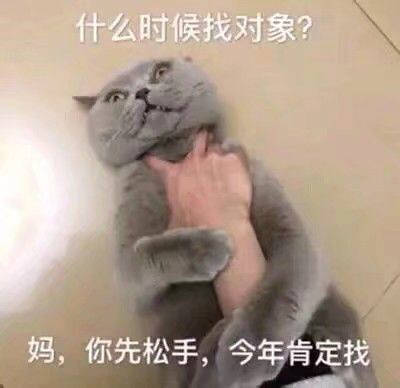 抖音什么时候找对象表情包_什么时候找对象掐猫掐狗表情包分享
