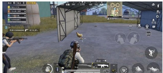 和平精英鸡在哪