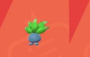 宝可梦剑盾走路草在哪