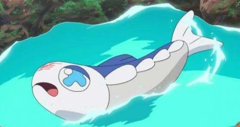 宝可梦剑盾弱丁鱼如何搭配_宝可梦剑盾弱丁鱼搭配攻略 宝可梦剑盾弱丁鱼如何搭配_宝可梦剑盾弱丁鱼搭配攻略