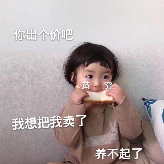 我养不起自己了表情包分享_我养不起自己了表情包原图下载