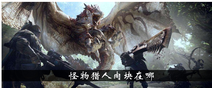 怪物猎人肉块获取指南_http://www.abetid.com_游戏攻略_第1张