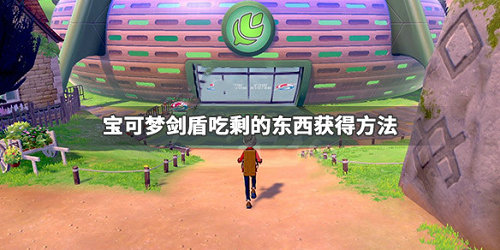 宝可梦剑盾吃剩的东西怎么获得
