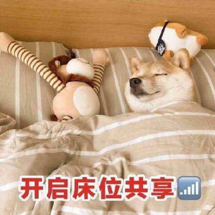 抖音对方已开启床位共享表情包分享_对方已开启床位共享表情包下载