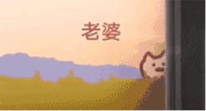 抖音追火车的猫表情包高清分享_抖音追火车的猫动态表情包下载