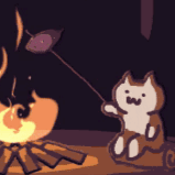 抖音追火车的猫表情包高清分享_抖音追火车的猫动态表情包下载