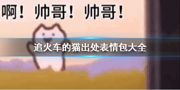 抖音追火车的猫表情包高清分享_抖音追火车的猫动态表情包下载