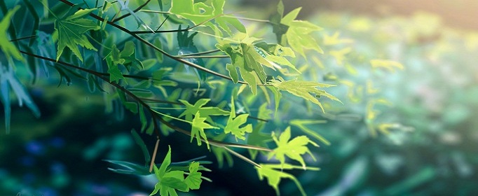 什么游戏盒子充值返利最好_充值返利游戏平台 什么游戏盒子充值返利最好_充值返利游戏平台