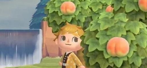 动物之森红颈凤蝶怎么获得