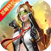 王者英雄之枪战传奇(至尊特权) 王者英雄之枪战传奇(至尊特权)