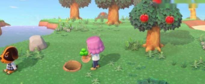 集合啦动物森友会春笋怎么获得