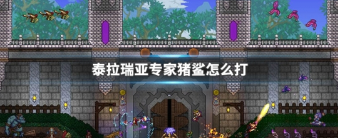 泰拉瑞亚专家猪鲨打法攻略_http://www.abetid.com_游戏攻略_第1张