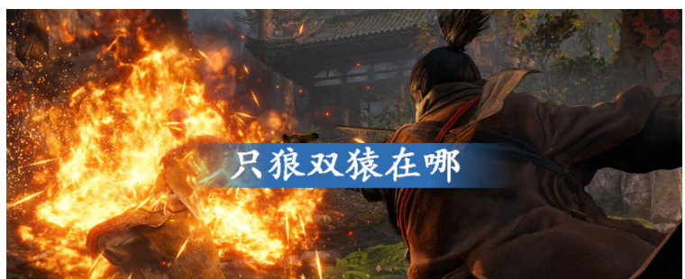 只狼双猿在哪_只狼双猿位置一览