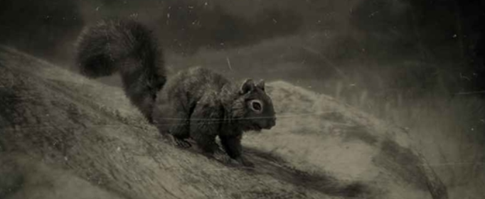 荒野大镖客2松鼠怎么打 荒野大镖客2松鼠怎么打