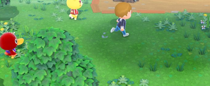 集合啦动物森友会灌木种类有哪些