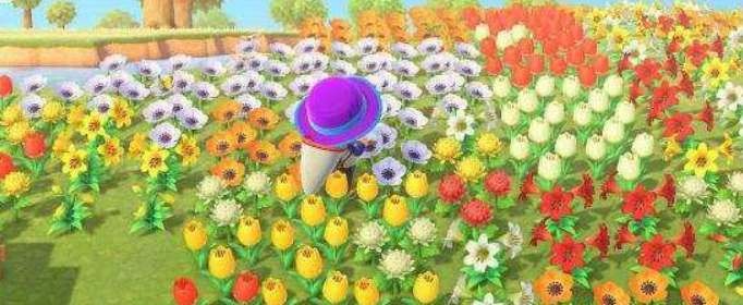 集合啦动物森友会什么是魔法花
