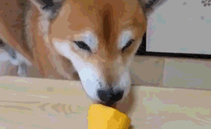 恰柠檬什么梗_恰柠檬表情包分享