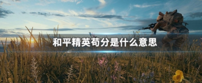 和平精英苟分是什么意思