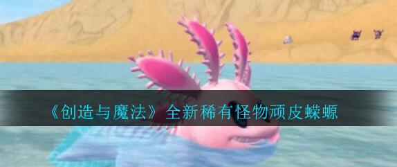 创造与魔法顽皮蝾螈怎么样