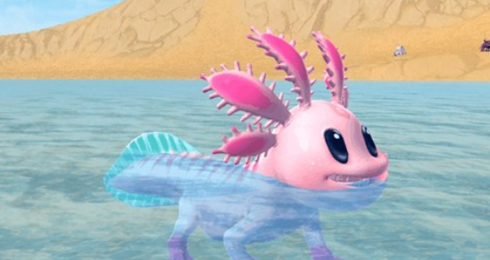 创造与魔法游戏顽皮蝾螈位置介绍