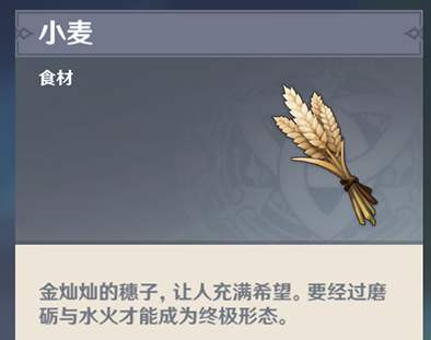 原神小麦怎么获得_小麦位置分享
