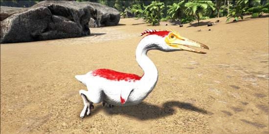 方舟生存进化黄昏鸟金蛋获取攻略 方舟生存进化黄昏鸟金蛋获取攻略