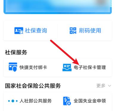 支付宝电子社保卡密码怎么重置_电子社保卡密码重置方法