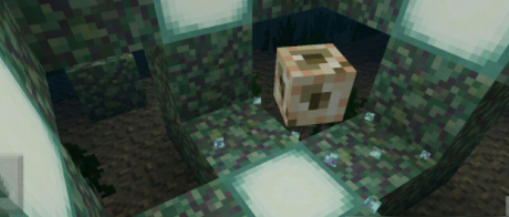 我的世界海洋之心作用介绍 我的世界海洋之心作用介绍