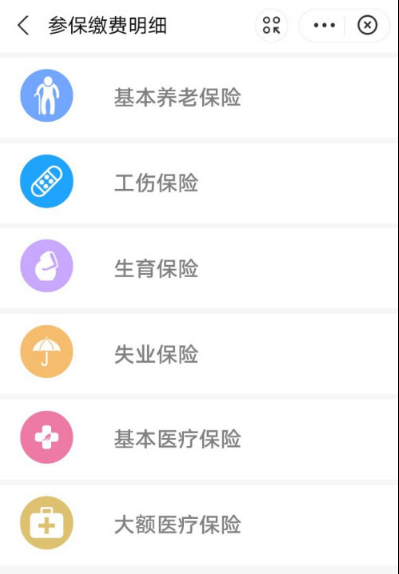 支付宝怎么看生育保险缴费记录_生育保险缴费记录查询教程分享