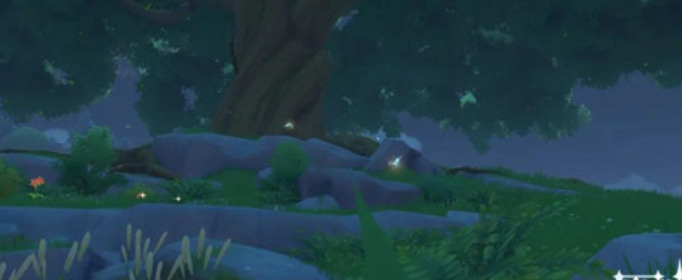 原神晶蝶晶核在哪里