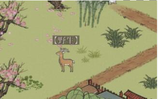 江南百景图小动物怎么捕捉