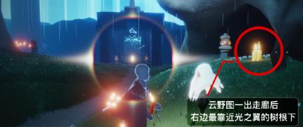 光遇雨林季节蜡烛在哪 光遇雨林季节蜡烛在哪