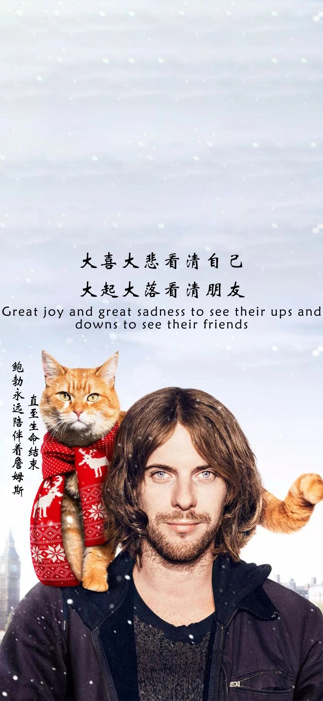 抖音流浪猫鲍勃詹姆斯壁纸分享_大喜大悲看清自己大起大落看清朋友壁纸下载