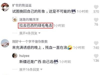 抖音拉去巴西钓绿毛龟什么意思_抖音拉去巴西钓绿毛龟是什么梗