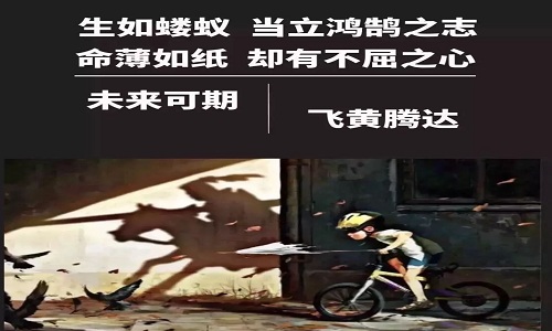 抖音生如蝼蚁当立鸿鹄之志手机壁纸_抖音生如蝼蚁当立鸿鹄之志高清图片下载